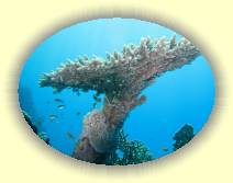 IMG_2007_05_29 16_06_55 * 3072 x 2304 * (718KB)